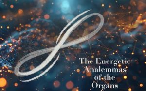 The Energetic Analemmas of the Organs