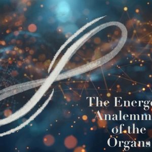 The Energetic Analemmas of the Organs